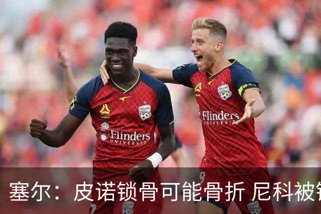 塞尔：皮诺锁骨可能骨折 尼科被铲伤可能提前结束世界杯之旅