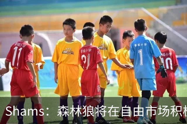 Shams：森林狼将在自由市场积极补强4号位 但他们只能提供底薪